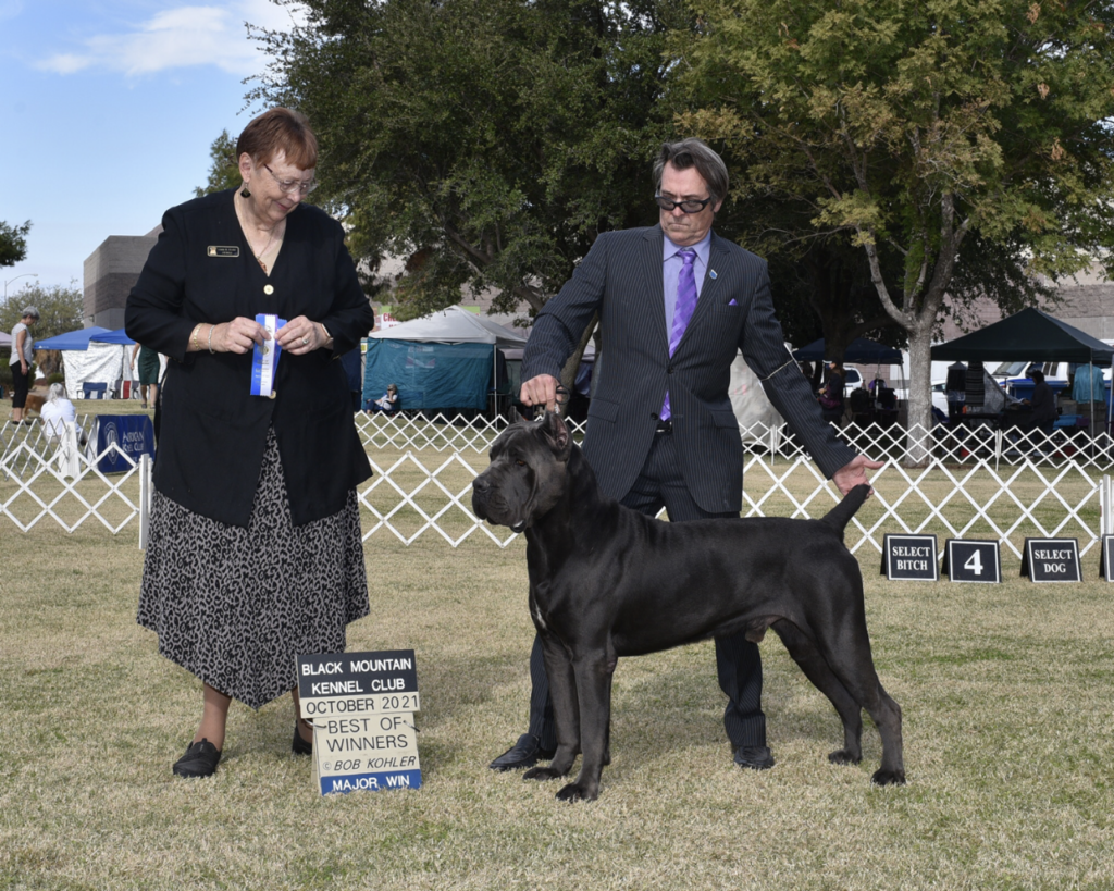 Black Mountain Kennel Club Best Winner