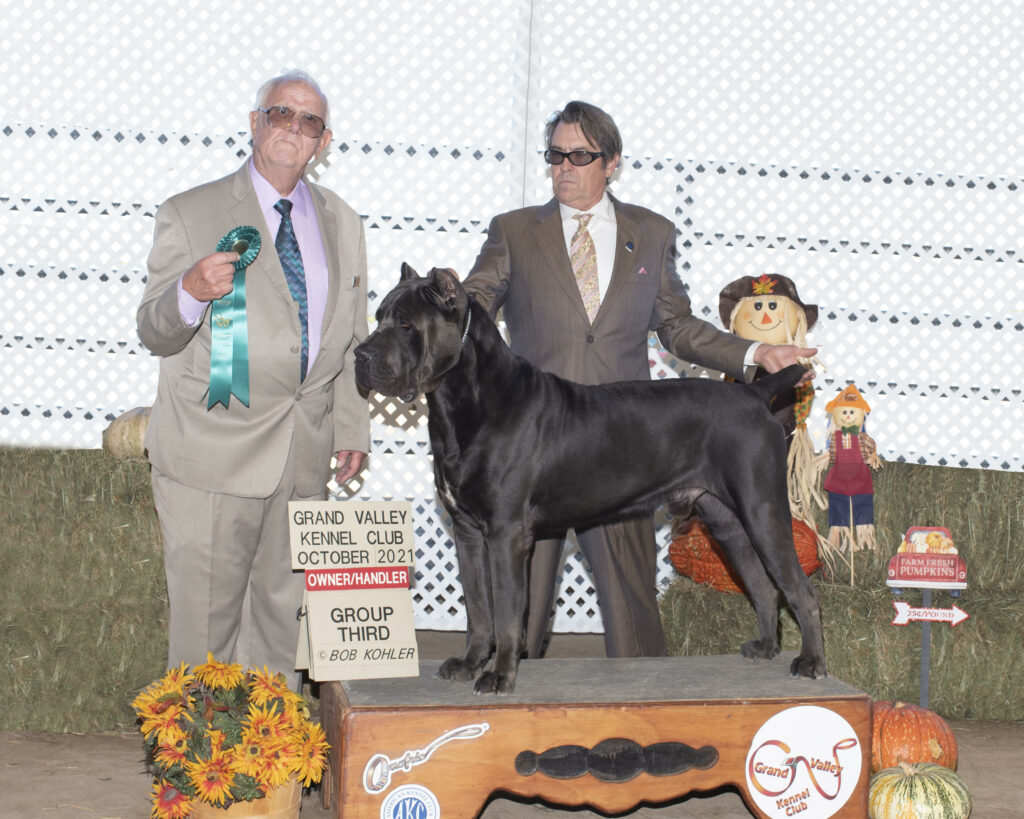 GV Kennel Club 3rd Oct 2021