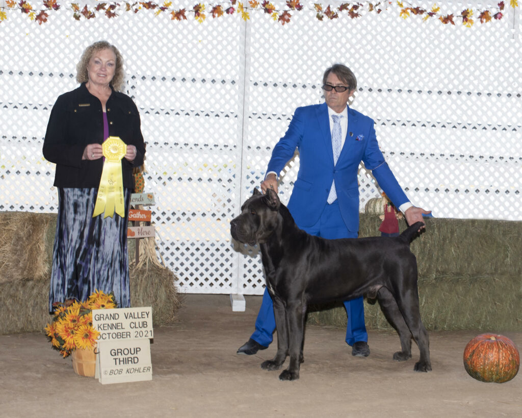 GV Kennel Club 3rd Oct 2021 2