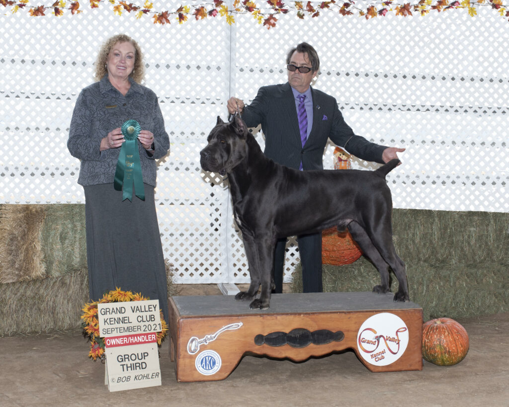 GV Kennel Club 3rd Sept 2021